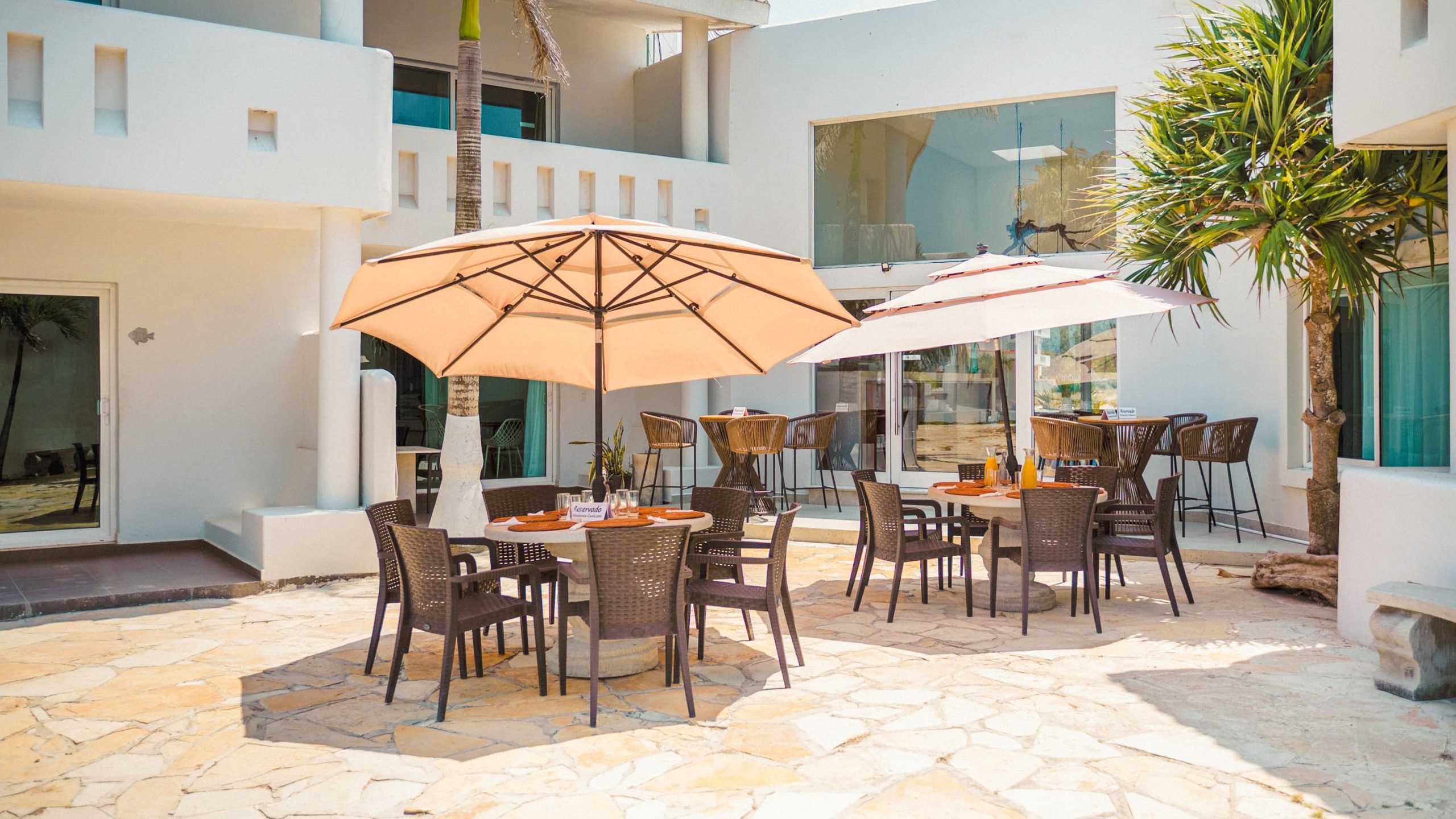 photo 2025 06 04 07 23 40 8