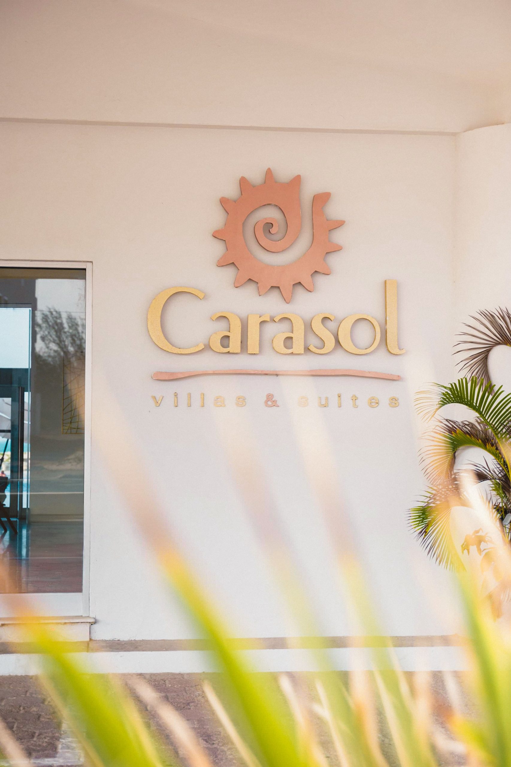 photo 2025 06 04 07 23 41 2