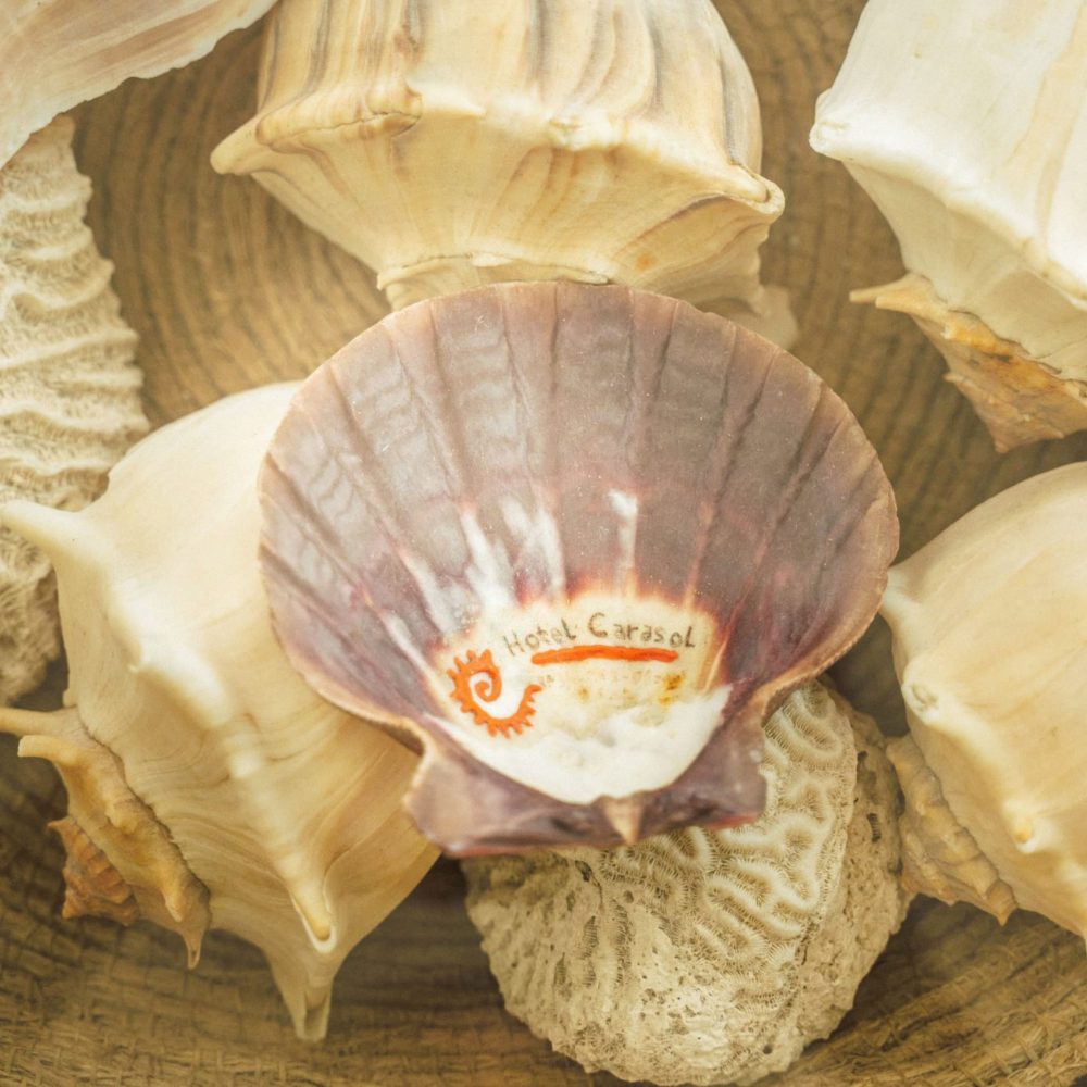 photo 2025 06 04 07 23 37