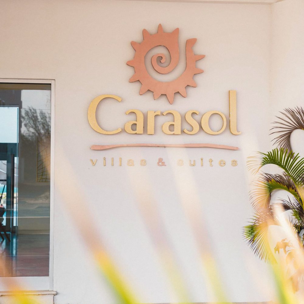 photo 2025 06 04 07 23 41 2